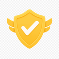 Shipping Protection